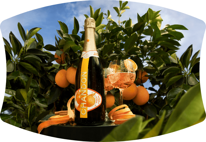 chandon intro