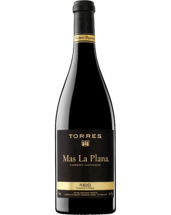 Mas la Plana Torres