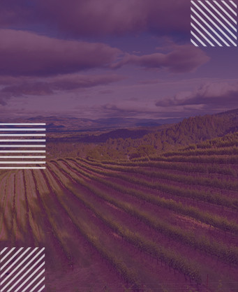 Napa Valley