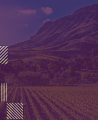 Stellenbosch